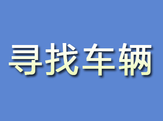 盐田寻找车辆