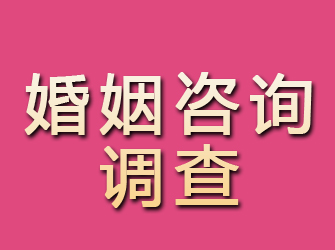 盐田婚姻咨询调查