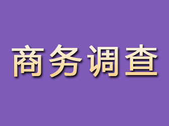 盐田商务调查