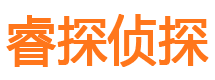 盐田市调查公司